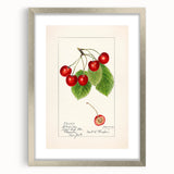 Textured art of abstract fruits in muted green and orange, framed in silver, ideal for bedroom wall decor.