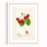 Abstract art print of assorted fruits in vibrant colors, framed with a white mat, ideal for dining room decor.