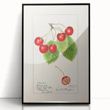 Large abstract wall art depicting assorted fruits in vibrant colors on a black acrylic framed print.