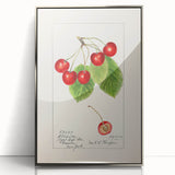 Mid-century modernist art featuring assorted fruits in vibrant colors on a silver-framed acrylic print.