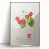 Framed acrylic print of colorful assorted fruits in art deco style, ideal for modern kitchen decor.