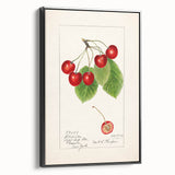 Black and white framed canvas featuring a vintage poster art style landscape with assorted fruits.