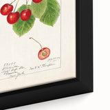 Extra large black wall art featuring a close-up of colorful, textured fruits on framed canvas, ideal for living room decor.