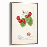 Framed canvas featuring a vintage poster of assorted fruits in muted earth tones, ideal for bedroom wall art.