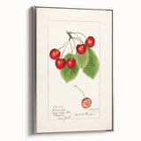 Landscape art painting featuring a colorful assortment of fruits on a black background, framed in silver.