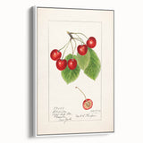 Vintage poster art featuring an assortment of colorful fruits on a large framed canvas, ideal for living room decor.