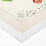 Art deco poster featuring assorted fruits in vibrant colors on rolled canvas, suitable for dining room decor.