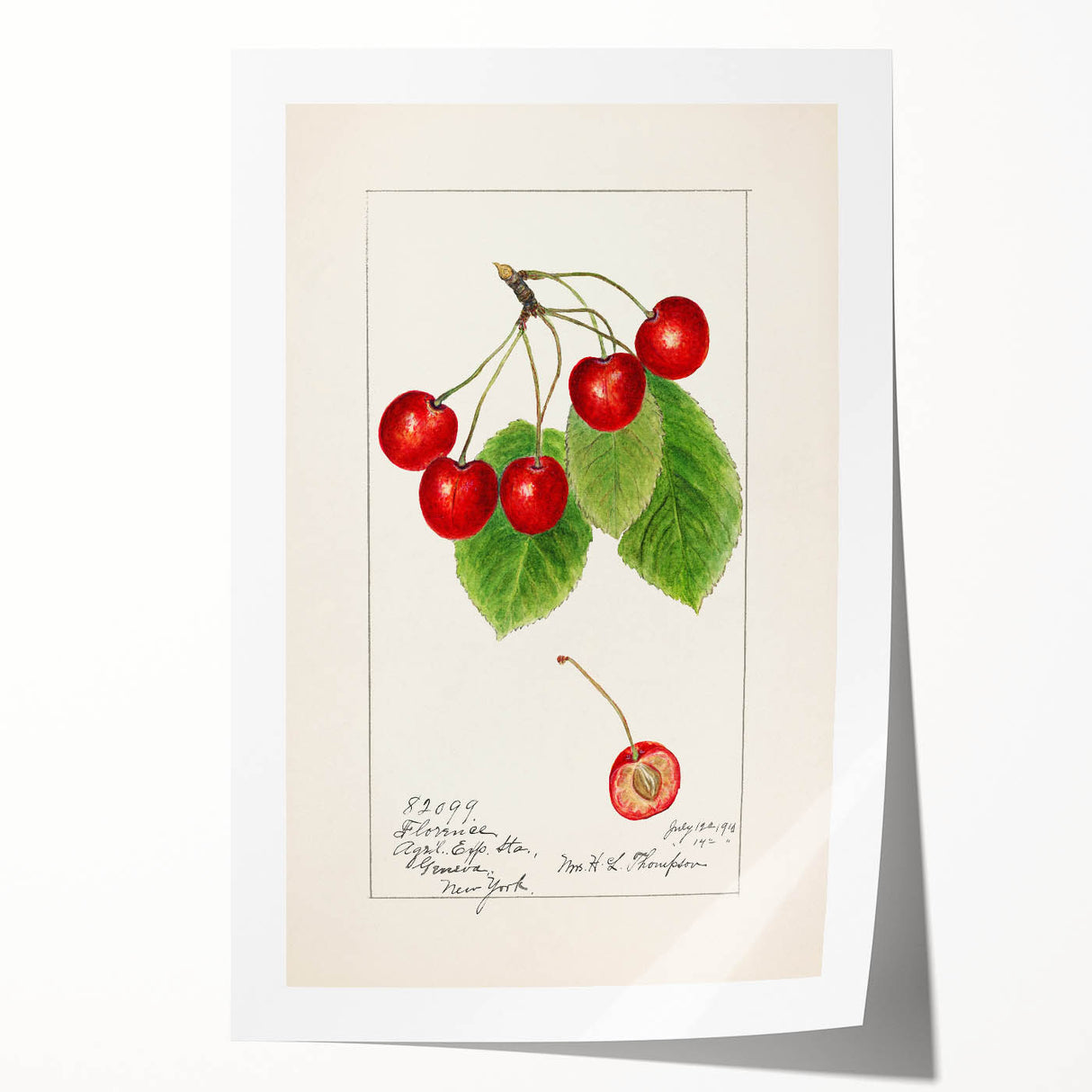 Rolled canvas print featuring an assortment of colorful fruits in a realistic style, suitable for art wall dining room.