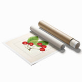 Extra large rolled print featuring assorted fruits in vibrant colors.