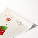 Extra large rolled print featuring line art flowers in monochrome, ideal for large living room wall art.