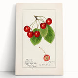 Black and white wall art of assorted fruits on stretched canvas, ideal for kitchen wall decor.