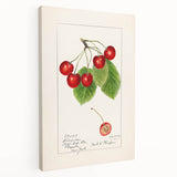 Large canvas print featuring an array of colorful fruits, ideal for kitchen wall art.