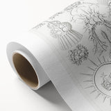 Modern Wall Art Print - Spyroidea by Ernst Haeckel - Scientific Art Decor