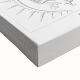 Modern Wall Art Print - Spyroidea by Ernst Haeckel - Scientific Art Decor