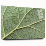 Close-up floral design in soft pastel shades on acrylic glass, suitable for bedroom or dining room wall art.