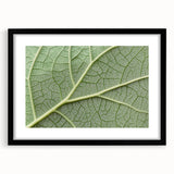 Extra large abstract art print featuring textured, colorful floral designs on a black framed canvas.