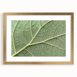 Extra large abstract art print featuring textured floral designs in soft pastel shades, framed in gold.