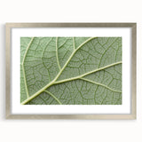 Textured art of abstract florals in soft pastel colors, framed in silver, ideal for bedroom decor.