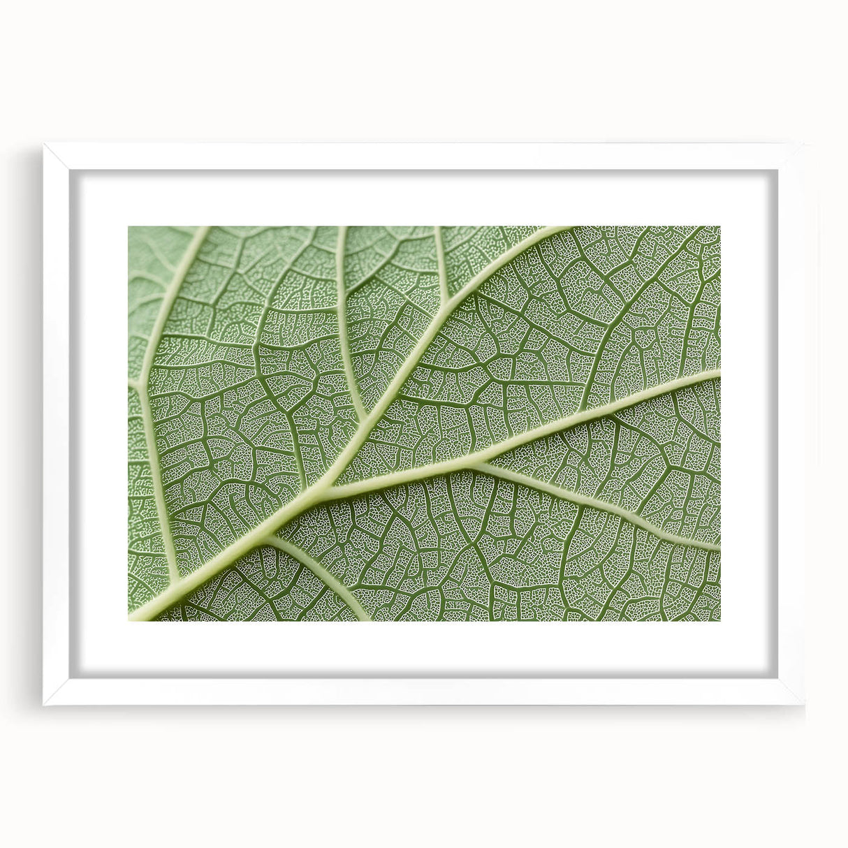 Abstract art print featuring close-up floral designs in soft pastel colors, framed in white.