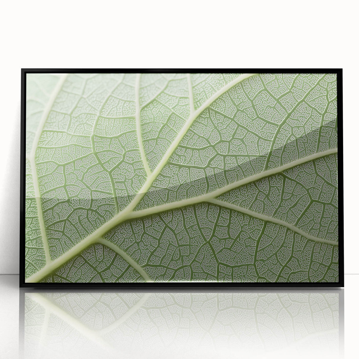 Large abstract wall art featuring vibrant floral patterns in a mid-century modernist style on a framed acrylic.