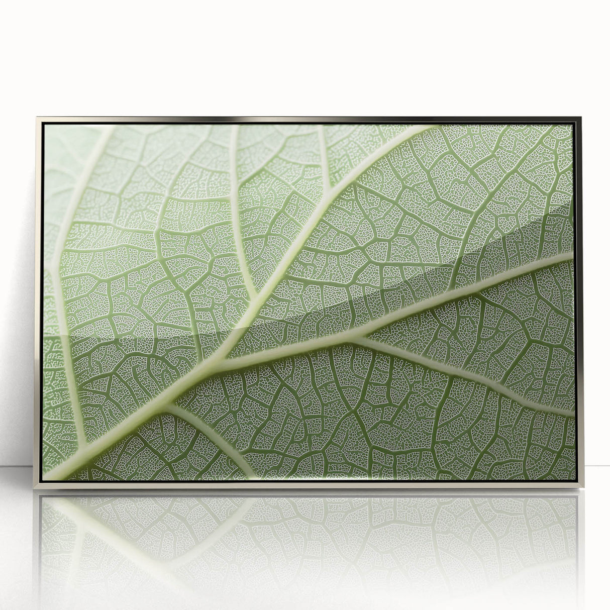 Mid-century modernist art depicting close-up floral designs in muted colors on a framed acrylic print.
