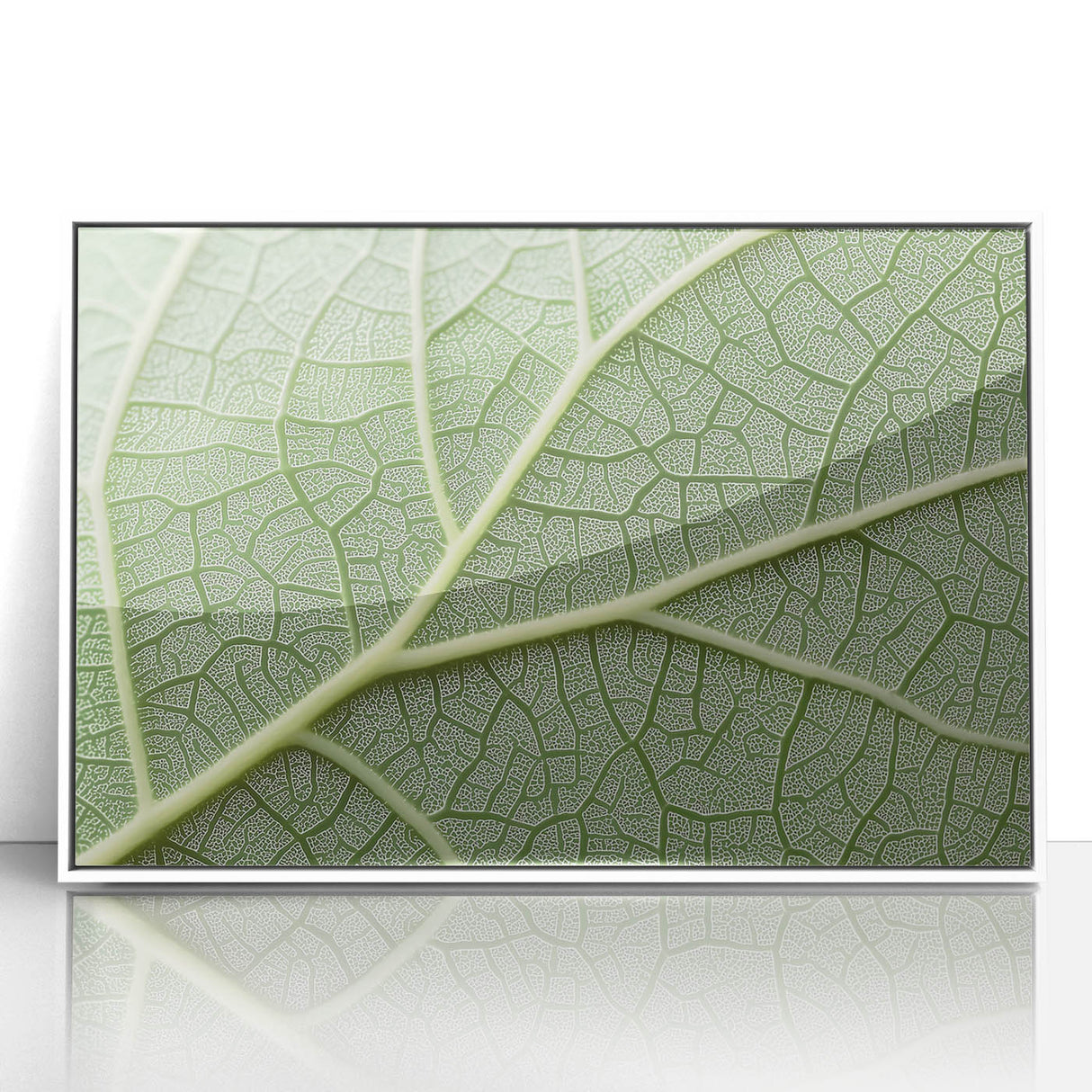 Art deco poster featuring close-up floral designs in soft pastel shades on white acrylic, ideal for nursery wall art.