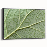 Black and white framed canvas featuring a close-up floral design, ideal for bedroom wall art.