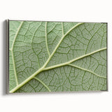 Framed canvas featuring a vintage landscape art painting of colorful florals against a black background.