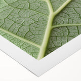 Art deco poster featuring close-up floral designs in muted colors on rolled canvas, suitable for dining room walls.