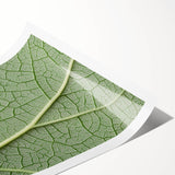 Extra large wall art featuring line art flowers in black on white, rolled print, ideal for large living room wall decor.