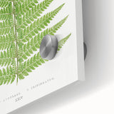 Botanical Realism Print | Aspidium Angulare Fern by Edward Joseph Lowe