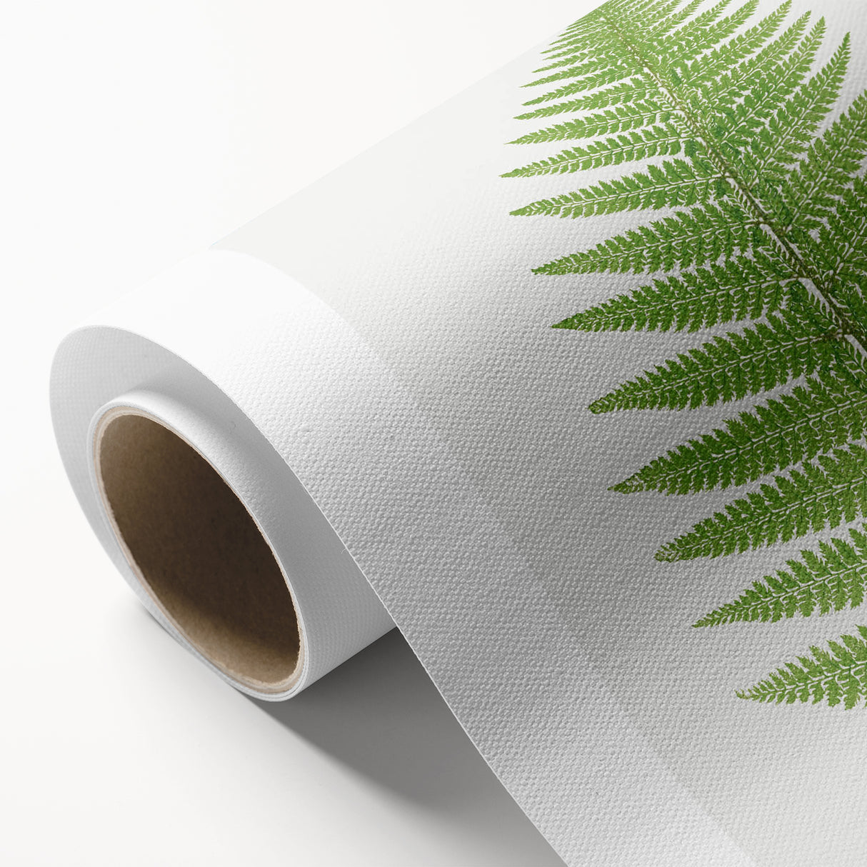 Botanical Realism Print | Aspidium Angulare Fern by Edward Joseph Lowe