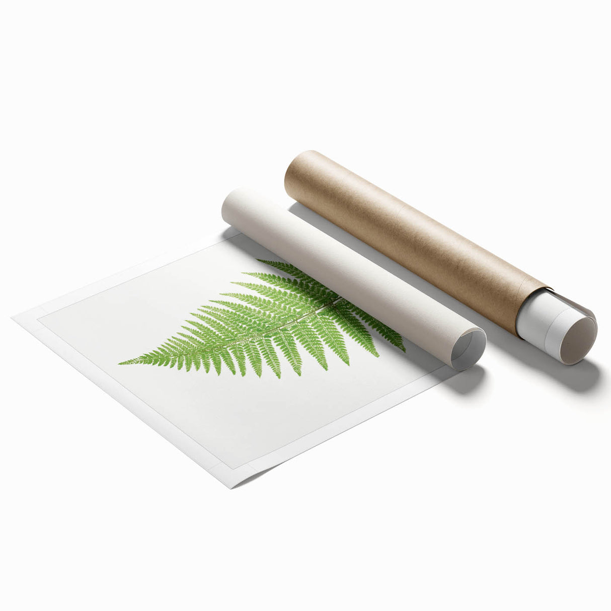 Botanical Realism Print | Aspidium Angulare Fern by Edward Joseph Lowe