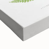 Botanical Realism Print | Aspidium Angulare Fern by Edward Joseph Lowe