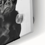 Black Pug Bathroom Wall Art - Modern Black and White Bathroom Decor