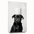 Black Pug Bathroom Wall Art - Modern Black and White Bathroom Decor