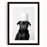 Black Pug Bathroom Wall Art - Modern Black and White Bathroom Decor