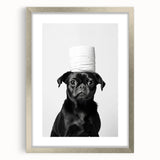 Black Pug Bathroom Wall Art - Modern Black and White Bathroom Decor