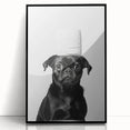 Black Pug Bathroom Wall Art - Modern Black and White Bathroom Decor