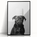 Black Pug Bathroom Wall Art - Modern Black and White Bathroom Decor