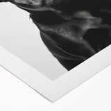 Black Pug Bathroom Wall Art - Modern Black and White Bathroom Decor