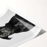 Black Pug Bathroom Wall Art - Modern Black and White Bathroom Decor
