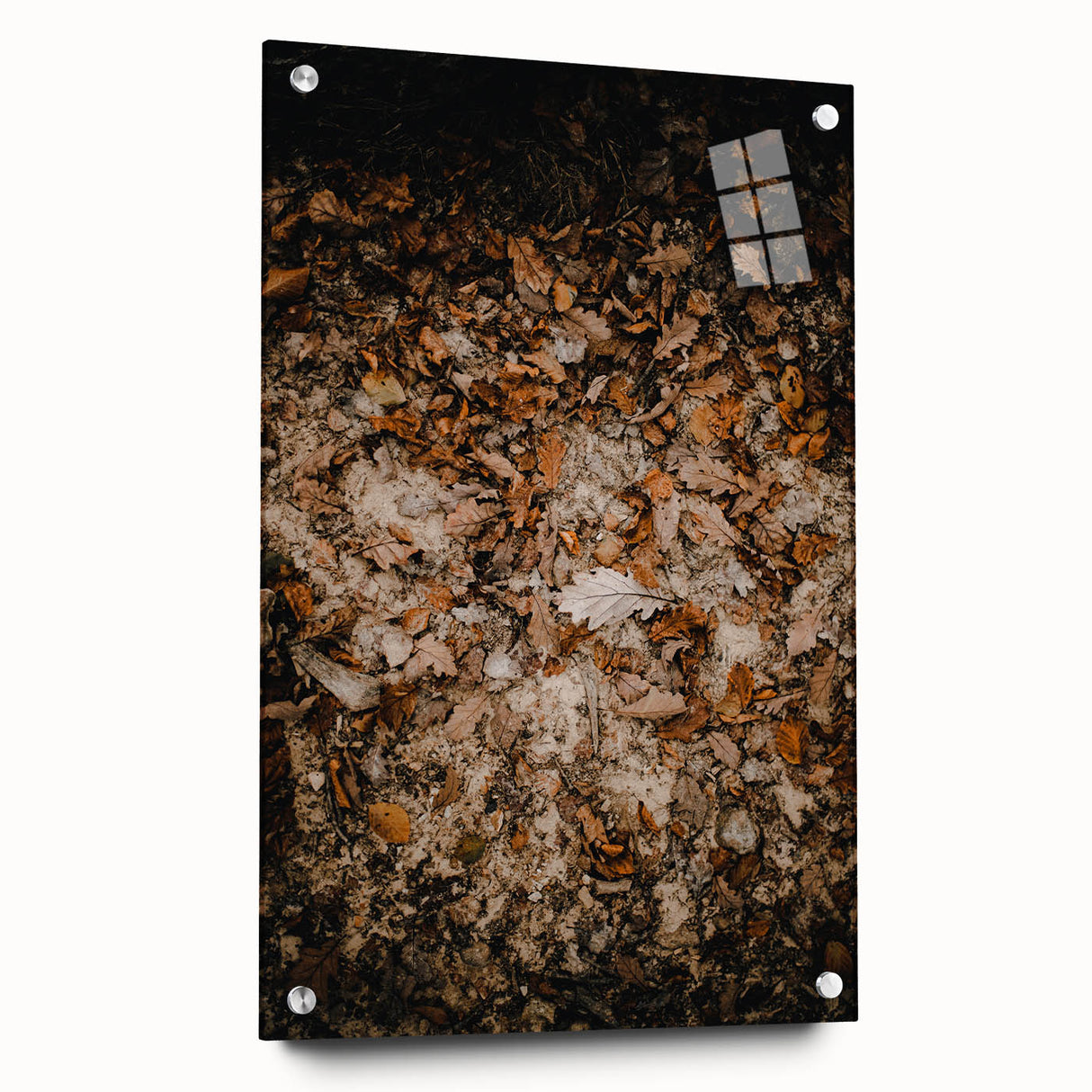 Large abstract wall art depicting fall scenery in warm orange and red tones on acrylic glass, suitable for dining room decor.