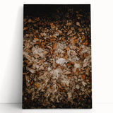 Black and white stretched canvas of a large tree in fall, ideal for kitchen wall art or bedroom ambiance.