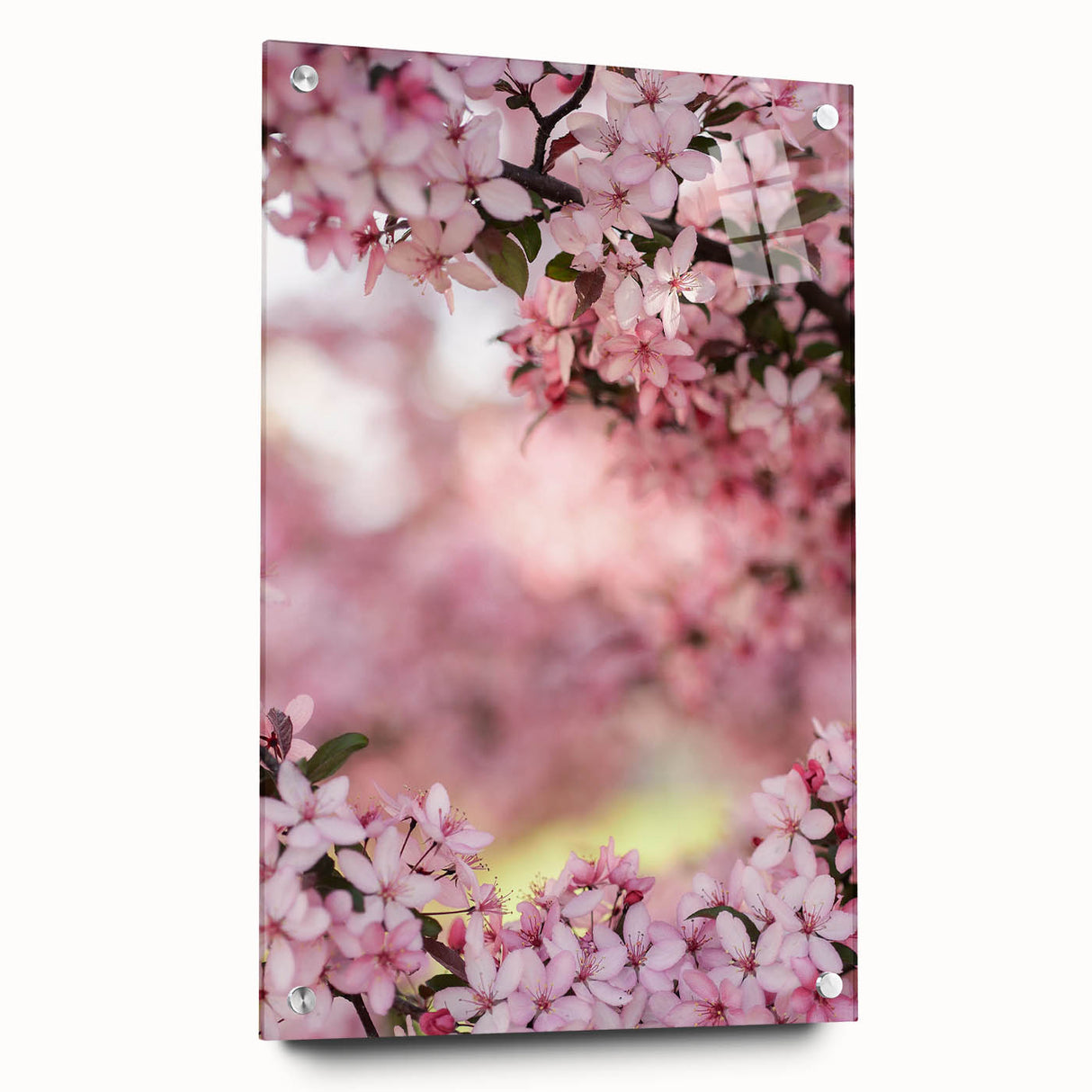 Large abstract wall art on acrylic glass featuring swirling spring tones, ideal for bedroom or dining room decor.
