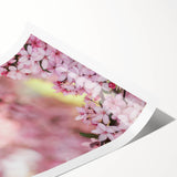 Extra large wall art featuring line art flowers in soft pastel shades on a rolled print, ideal for large living room decor.