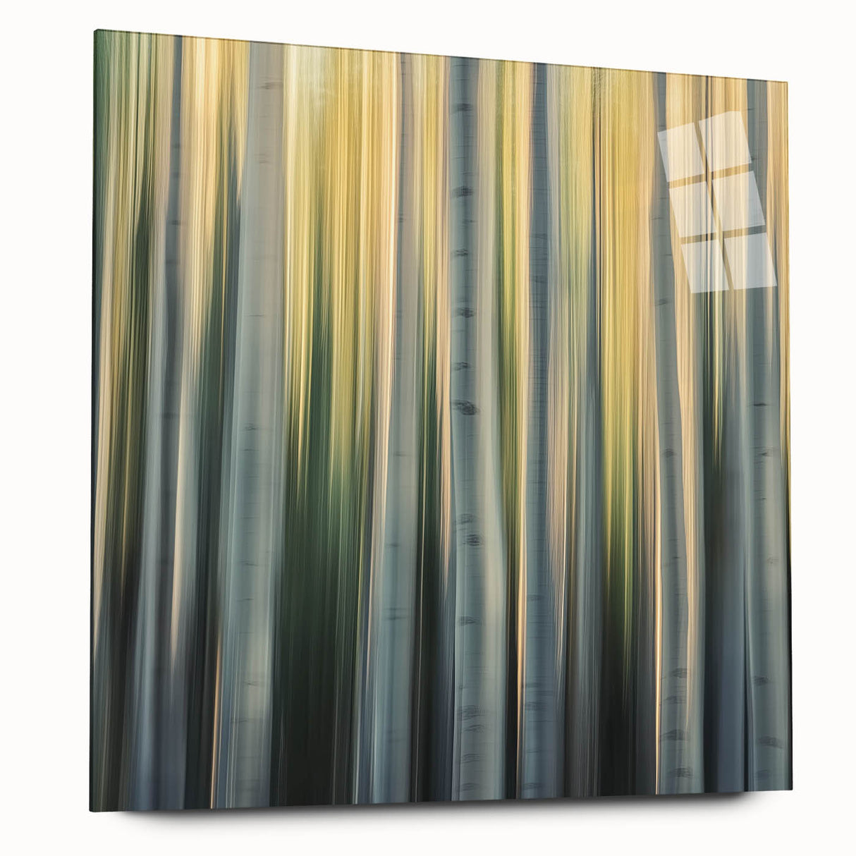 Golden Birch Blur – Dynamic Abstract Forest Motion Wall Art