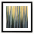 Golden Birch Blur – Dynamic Abstract Forest Motion Wall Art