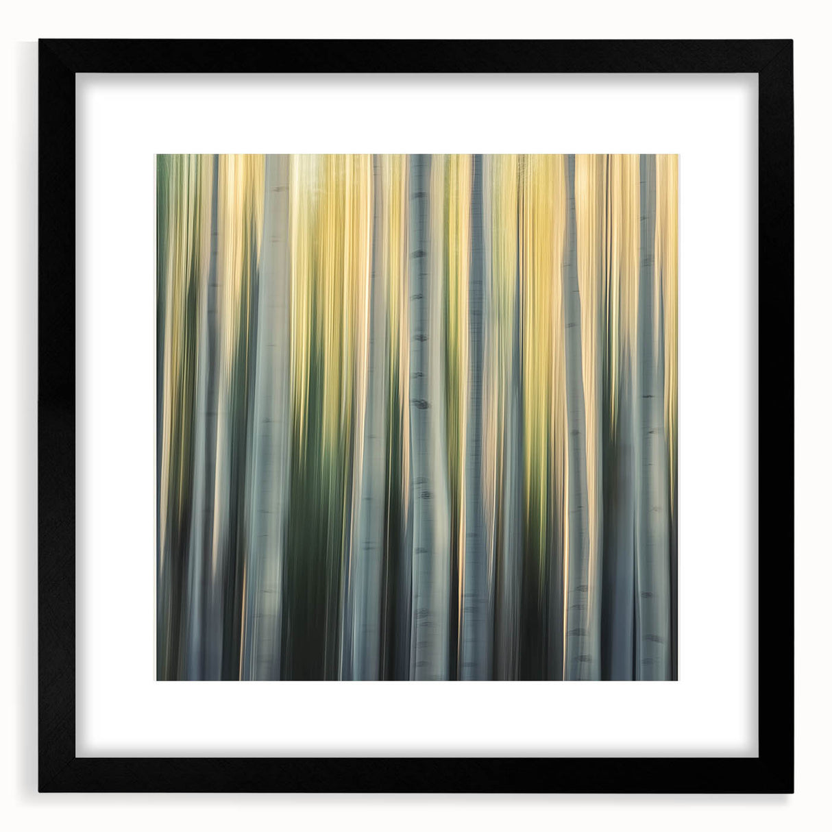 Golden Birch Blur – Dynamic Abstract Forest Motion Wall Art