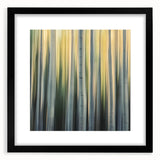 Golden Birch Blur – Dynamic Abstract Forest Motion Wall Art